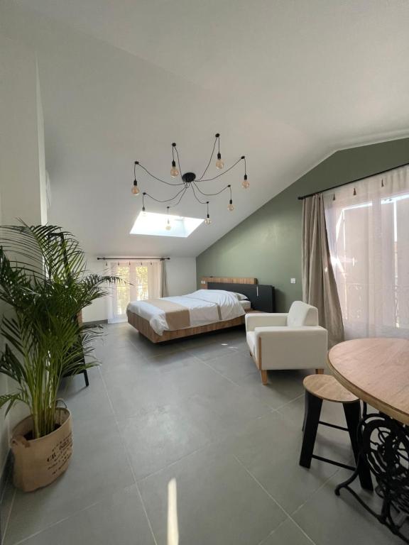 ein Schlafzimmer mit einem Bett, einem Sofa und einem Tisch in der Unterkunft Villa Romaine in Vaison-la-Romaine