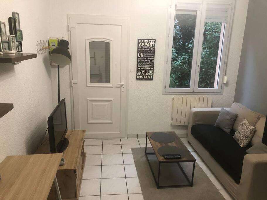 a living room with a couch and a tv at « Le petit Bastille»Proche Lyon centre in Villeurbanne