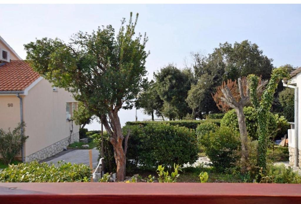 einen Garten mit Bäumen und Sträuchern und ein Haus in der Unterkunft Apartment Marina in Petrcane