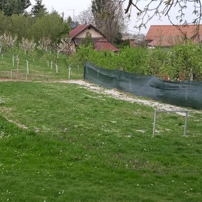 Zahrada ubytování Vila Gorocvet