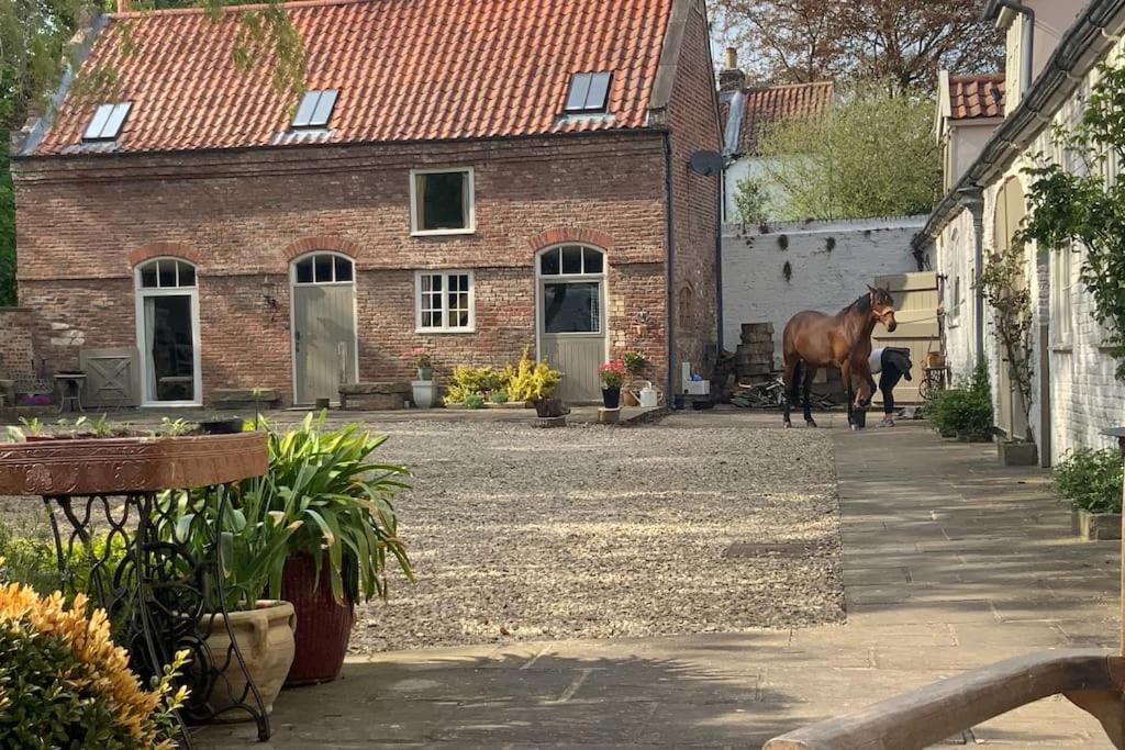 a horse walking in front of a brick house at Country Cottage near Yorkshire Coast in Bridlington