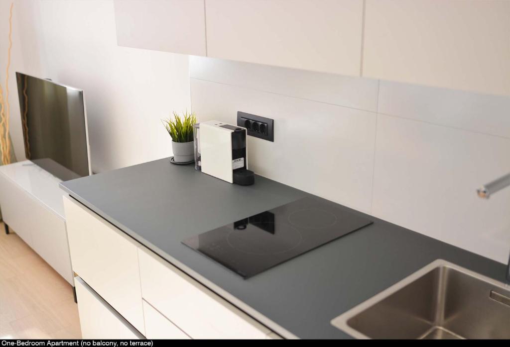 a kitchen with a sink and a counter top at Val De Laco studio apartments in Rovinj