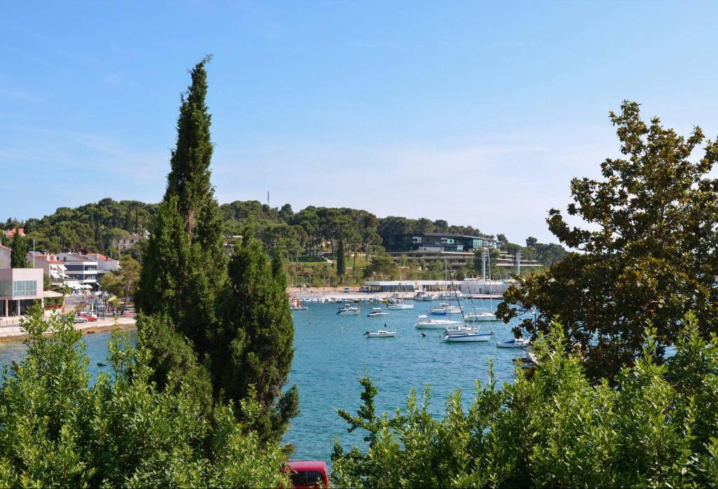 um grupo de barcos está ancorado num porto em Val De Laco studio apartments em Rovinj