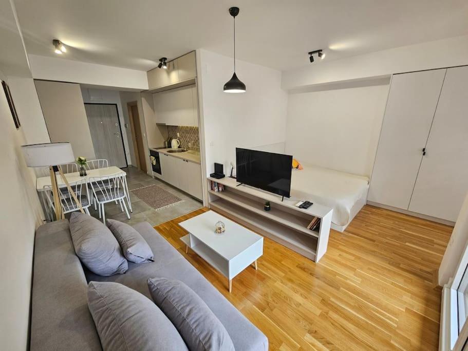 een woonkamer met een bank en een tv bij Milo Apartment in Skopje
