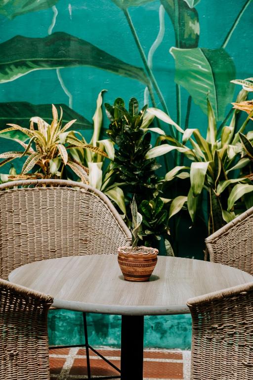 Fotografie z fotogalerie ubytování Origen Hostel Jardín v destinaci Jardin