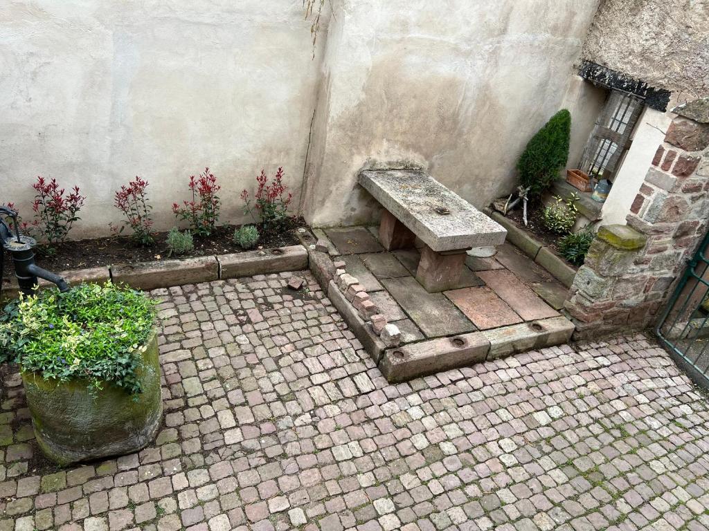 Zahrada ubytování Gîte du Brocanteur
