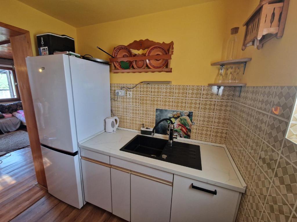 Kuchyň nebo kuchyňský kout v ubytování Vineyard Cottage with Private Jacuzzi