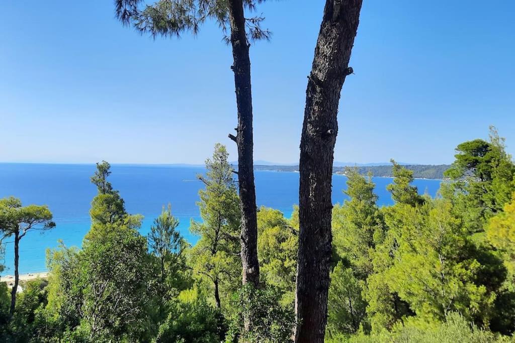 a view of the ocean from between two palm trees at Spacious 3 bed house with sea view in Possidi