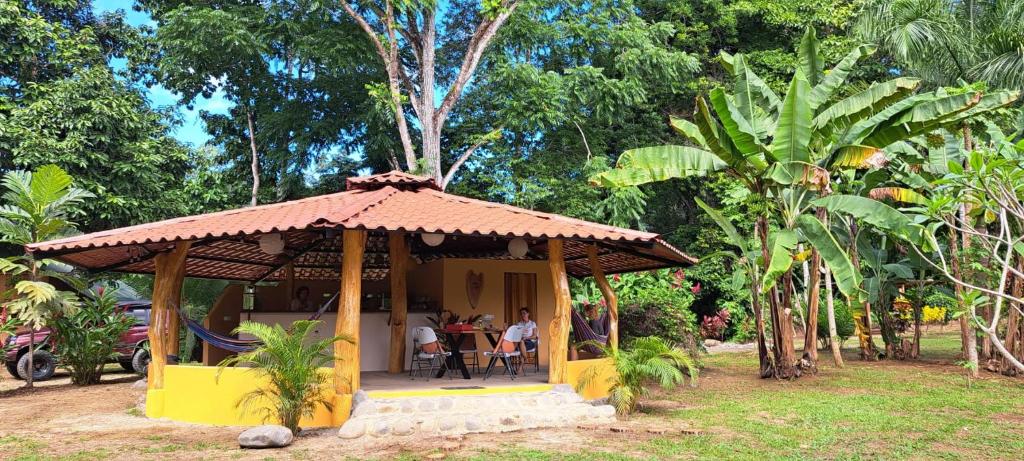 Zahrada ubytování Terra NaturaMa - off grid living in the jungle