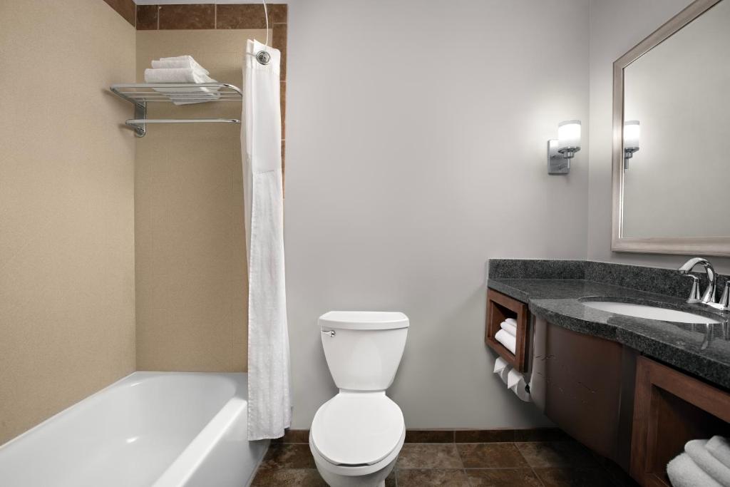 a bathroom with a toilet and a tub and a sink at Holiday Inn & Suites Durango Downtown by IHG in Durango
