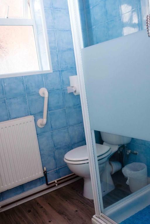 a blue bathroom with a toilet and a window at THE CHADWICK in Skegness