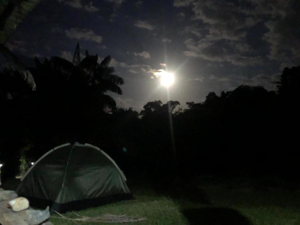 a tent in the grass next to a light pole at CATEDRAL THE ROCK CAMPING in Presidente Figueiredo