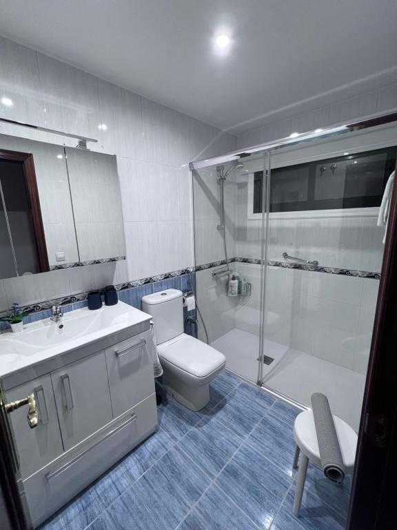 La salle de bains est pourvue d'une douche, de toilettes et d'un lavabo. dans l'établissement Mi pisito en el Temple, à La Corogne
