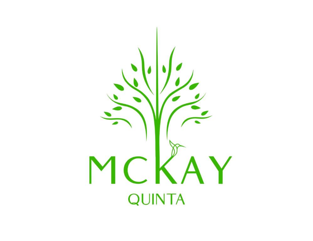 a drawing of a tree with the words mckayanu at Mckay's Quinta in Yaruguí