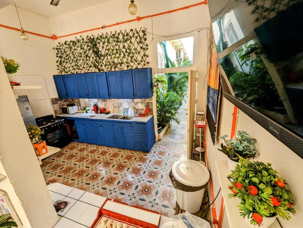 a kitchen with blue cabinets and plants on the wall at Hostel El Español in Santo Domingo