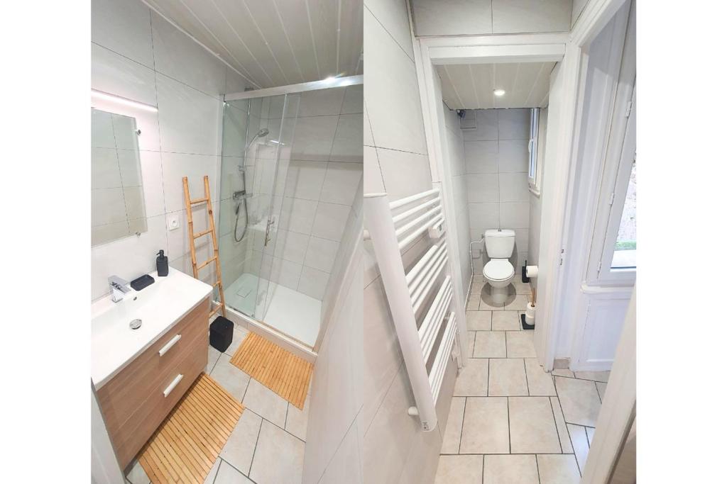 a bathroom with a shower and a sink and a toilet at Nice cocoon in Saint-Malo in Saint Malo