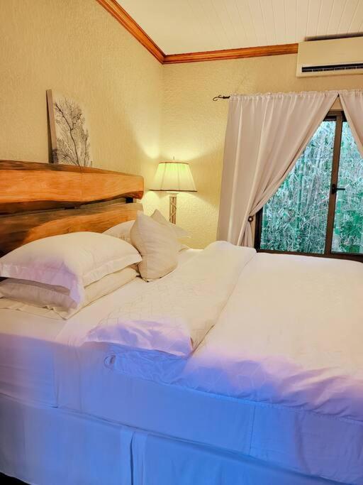 Postel nebo postele na pokoji v ubytování Vive Utila - Bed & Breakfast