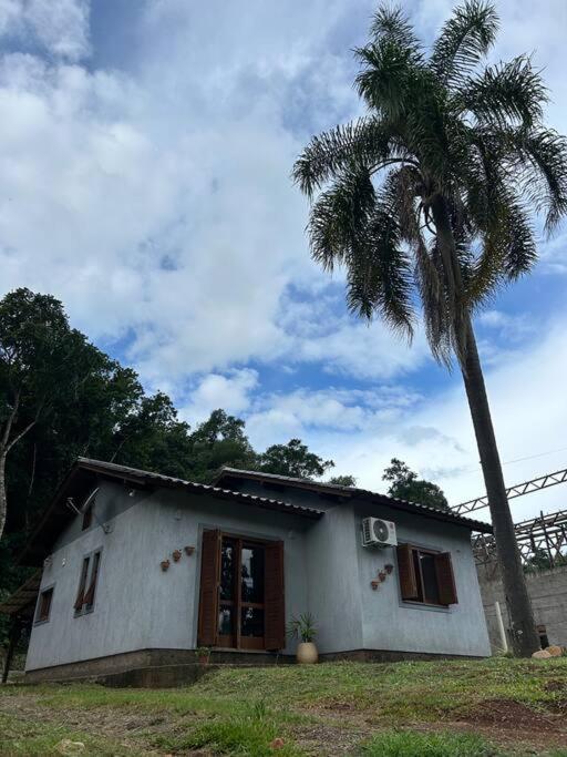 ein kleines Haus mit einer Palme davor in der Unterkunft Branca in Picada Cafe