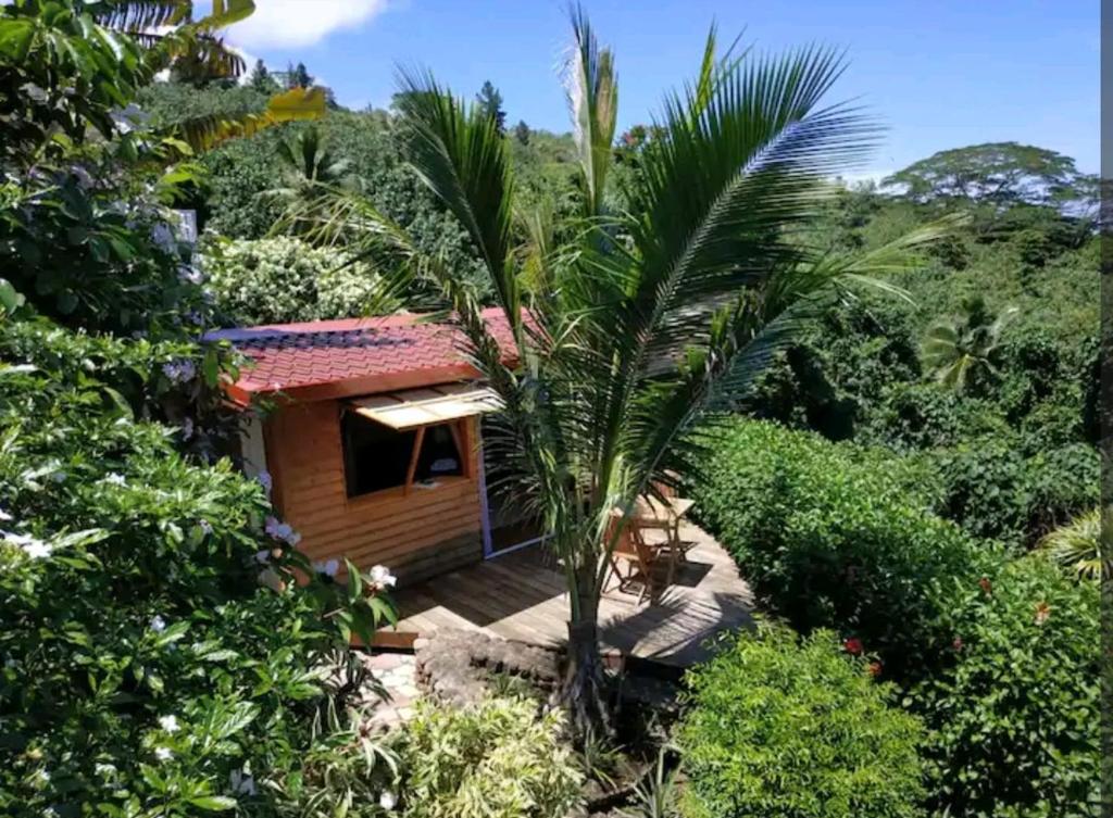 Bungalow Moemoea - photo 5 - Tahiti, Polynésie