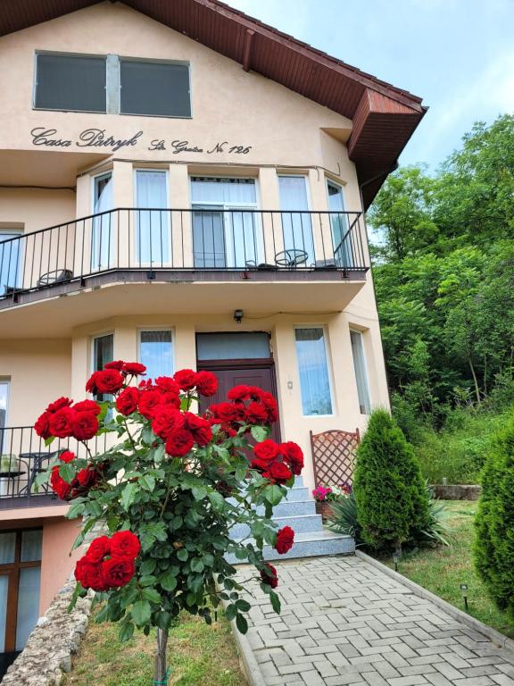 Um edifício com rosas vermelhas à frente. em Casa Patryk em Orşova