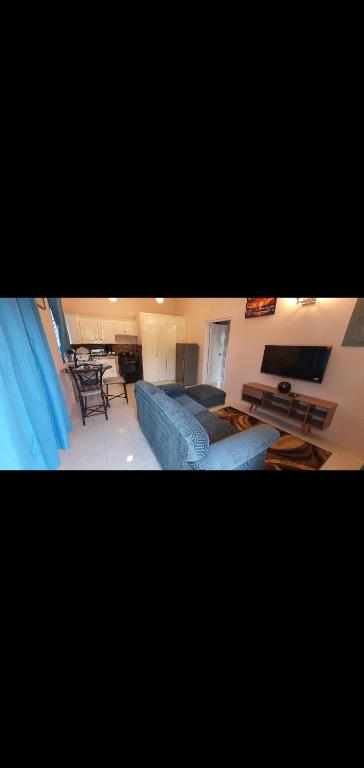 Fotografie z fotogalerie ubytování Sorina's Apartments v destinaci Ocho Rios