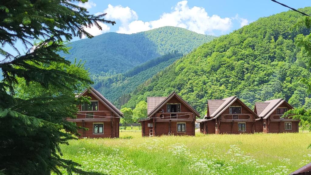 a row of wooden houses in a field with mountains at Котеджі Карпати Fest in Mizhhirya