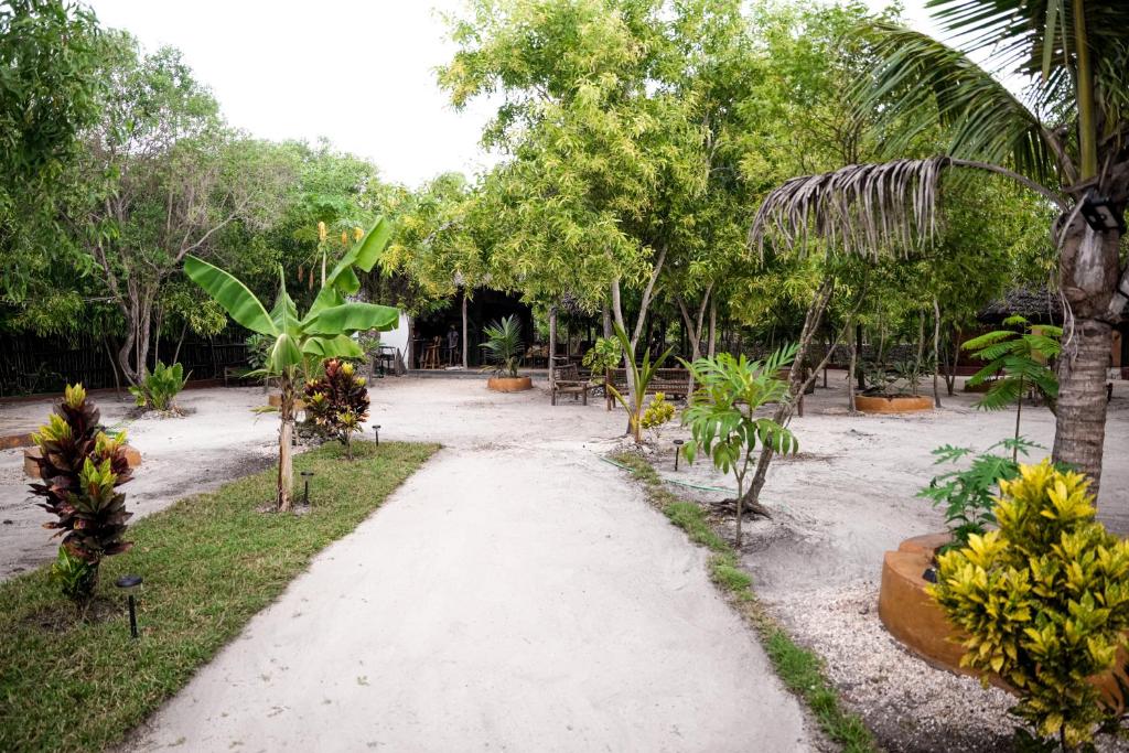 a walking path in a park with trees and bananas at Karibu Maisha in Kizimkazi