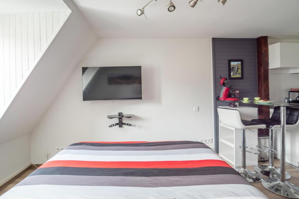 TV a/nebo společenská místnost v ubytování StuDio 11 - Centre-ville - Cozy
