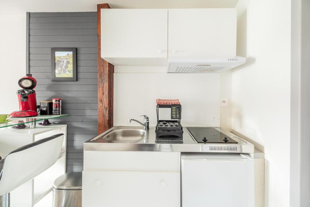 Kuchyň nebo kuchyňský kout v ubytování StuDio 11 - Centre-ville - Cozy