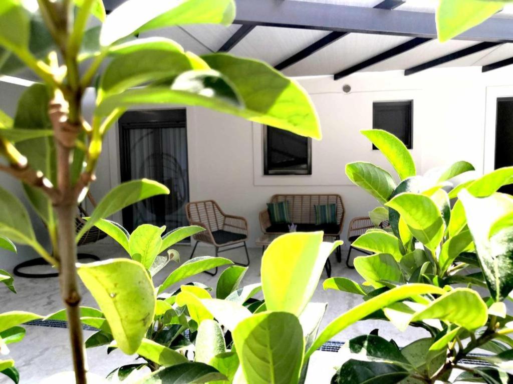 a room with green plants and a ceiling at Gaia Apartment II in Parga