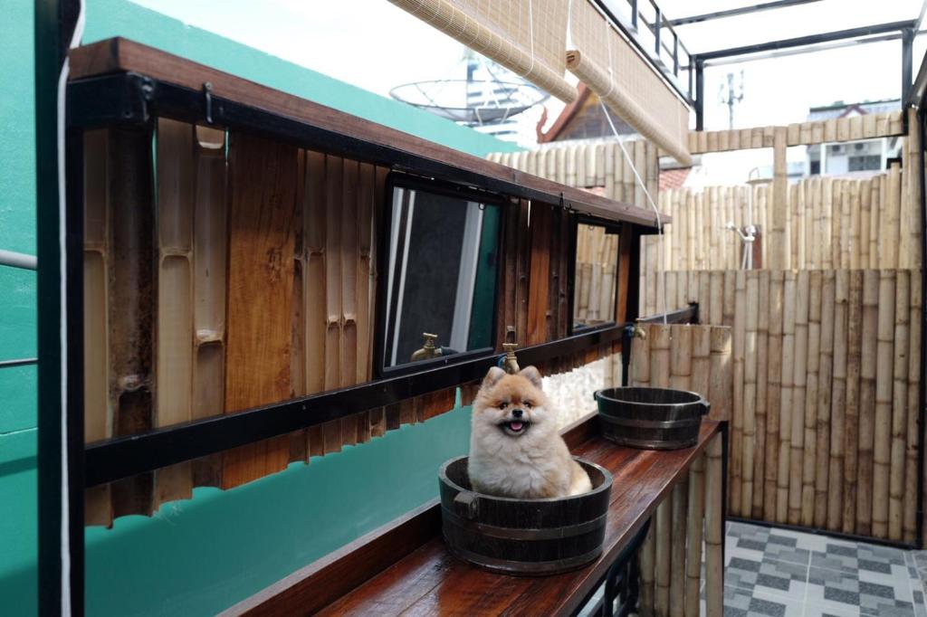 Fotografie z fotogalerie ubytování W168 hostel v destinaci Ban Lo Long