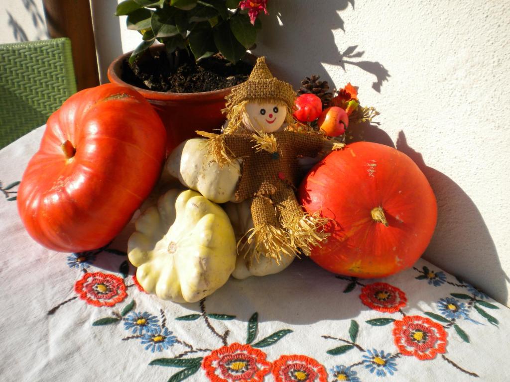 Gite Le Mandlé – photo 46