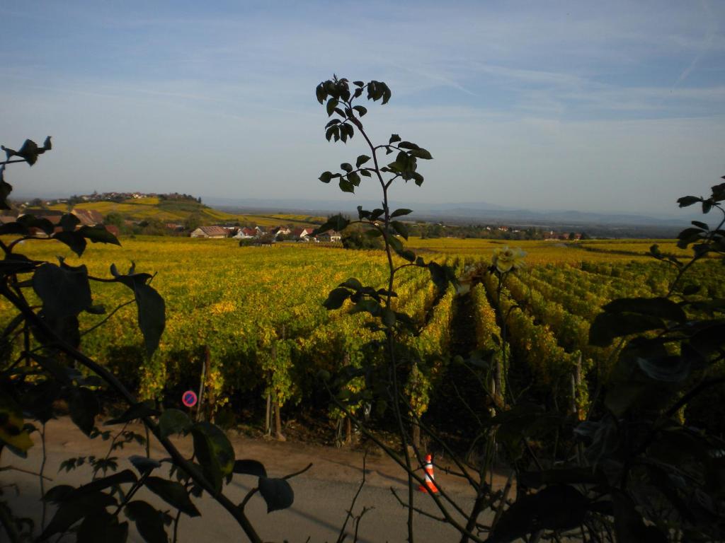 Gite Le Mandlé – photo 47
