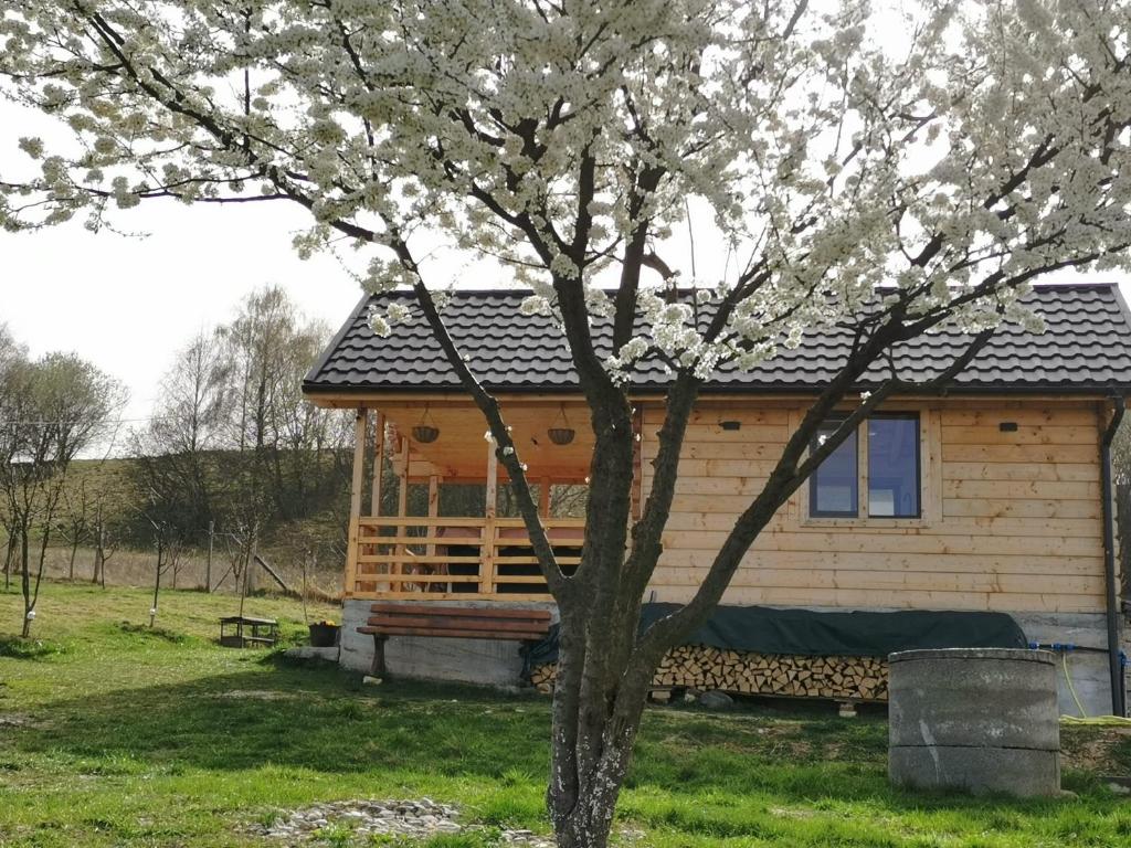 a log cabin with a tree in the foreground at Tiny House Stefana with garden in Transylvania 