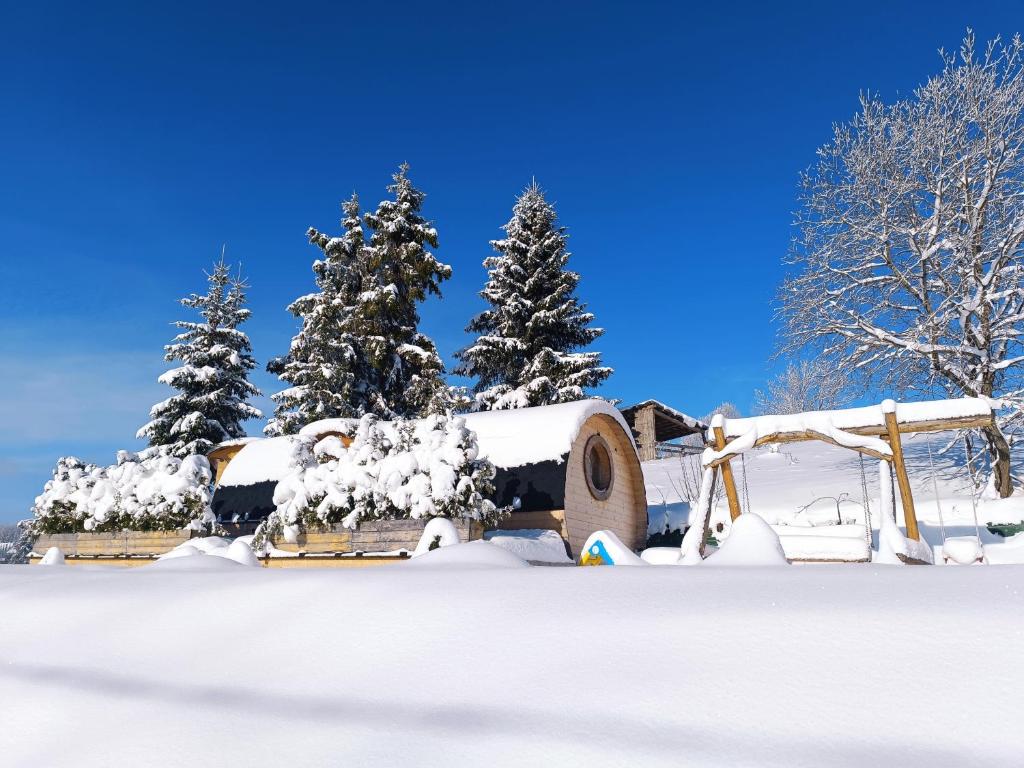 a house covered in snow with trees in the background at Lesňanský sud in Oravská Lesná