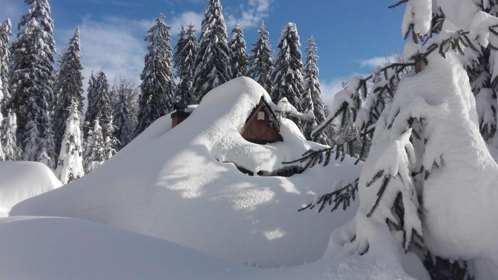 une maison recouverte de neige dans une forêt enneigée dans l'établissement Domek drewniany w górach, à Nowy Targ