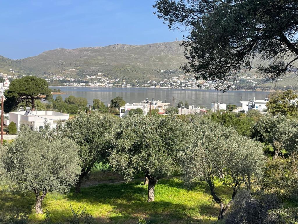 a view of a city with trees and a body of water at The Velanidies - Οι Βελανιδιές in Agia Marina