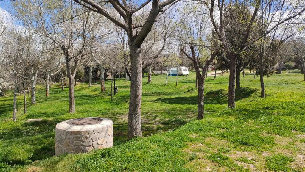Jardín al aire libre en Camping El Picachuelo