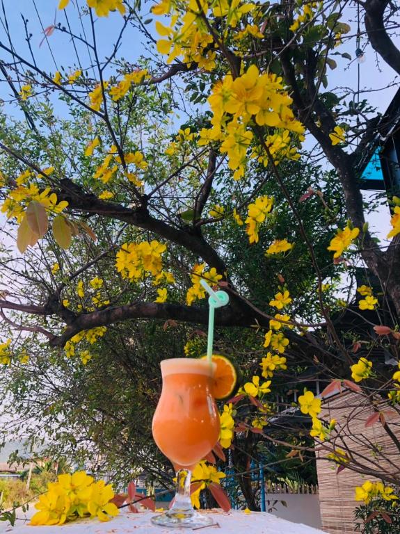 Zahrada ubytování Sunrise Dốc Lết