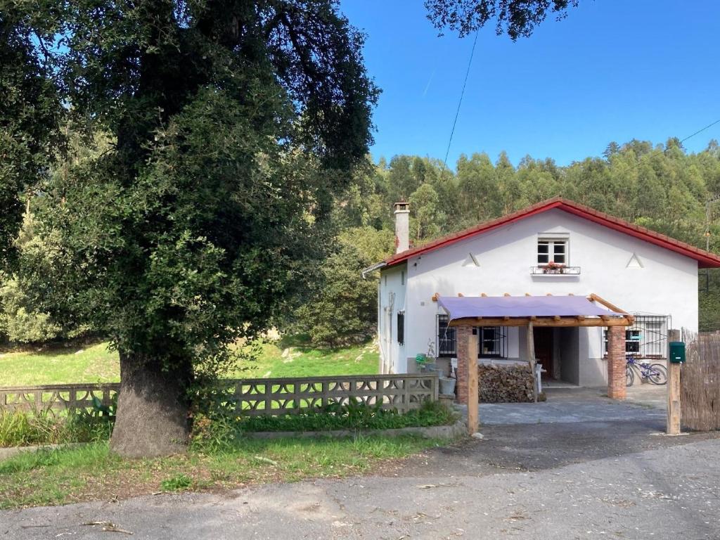 Un granero blanco con un árbol delante. en Ferienhaus für 3 Personen 1 Kind ca 86 qm in La Franca, Costa Verde Spanien Küste von Asturien, en La Franca