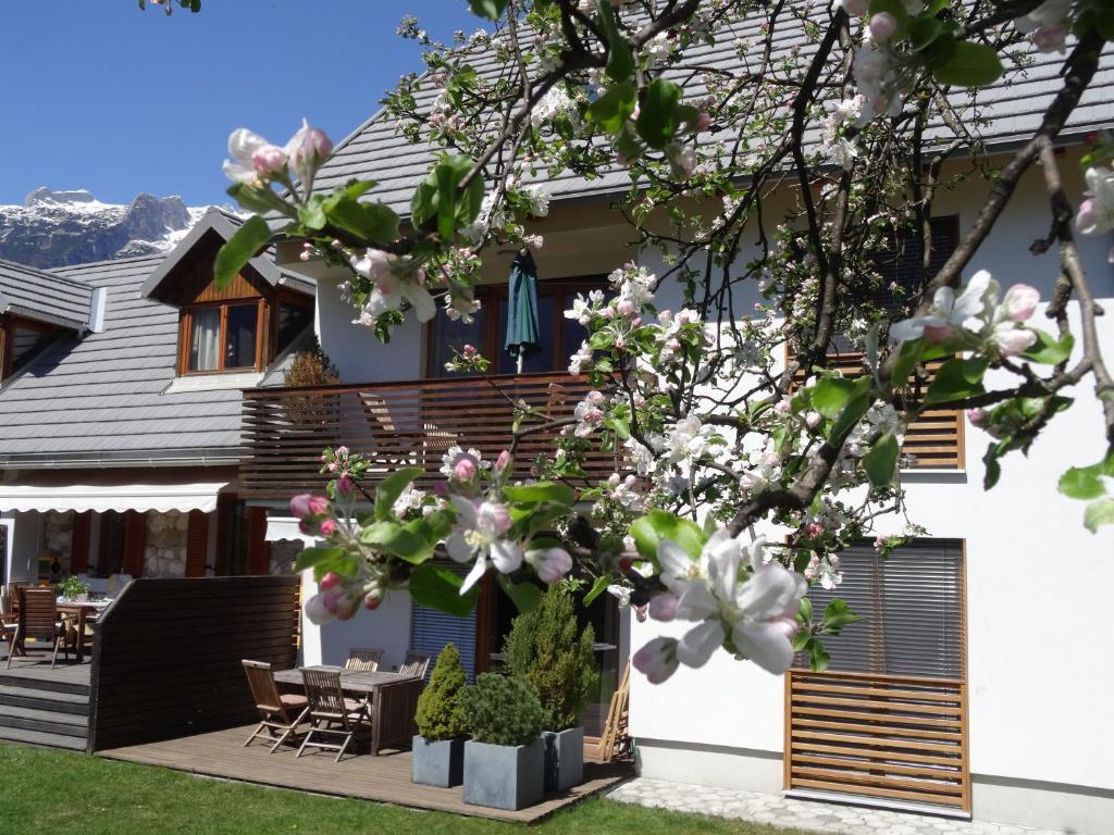 ein Haus mit einem blühenden Baum im Hof in der Unterkunft Apartments Supermjau in Bovec