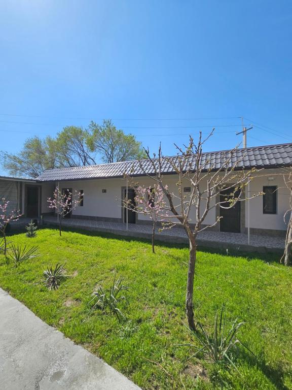 a house with a tree in the yard at Galstyans Home Zvartnots Airport in Pʼarakʼar