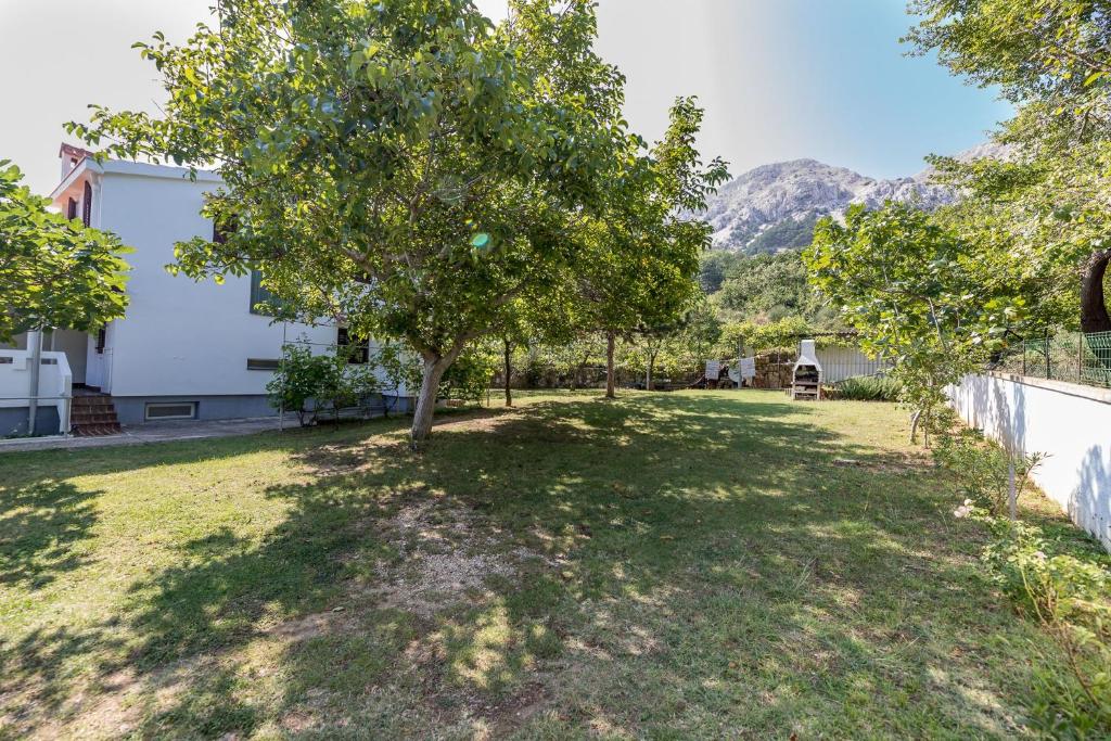 Príroda v okolí apartmánu