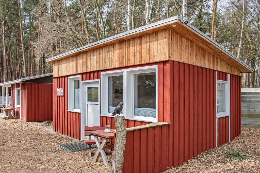 a red tiny house with a bird sitting on the window at Albatros - a17722 in Ueckeritz