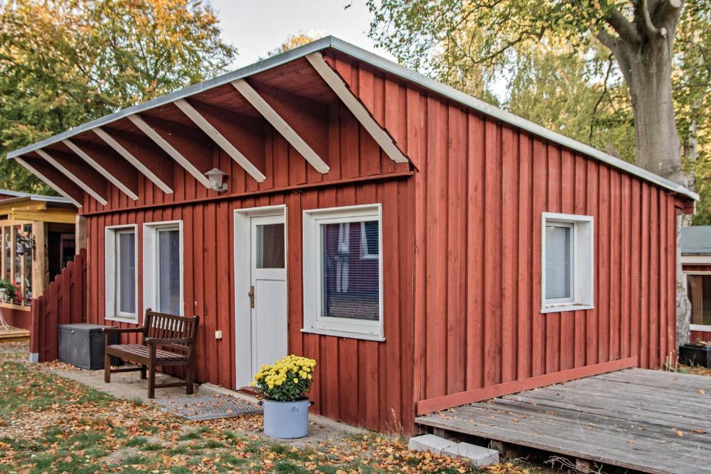 a red shed with a bench in front of it at Sturmmöwe in Ueckeritz