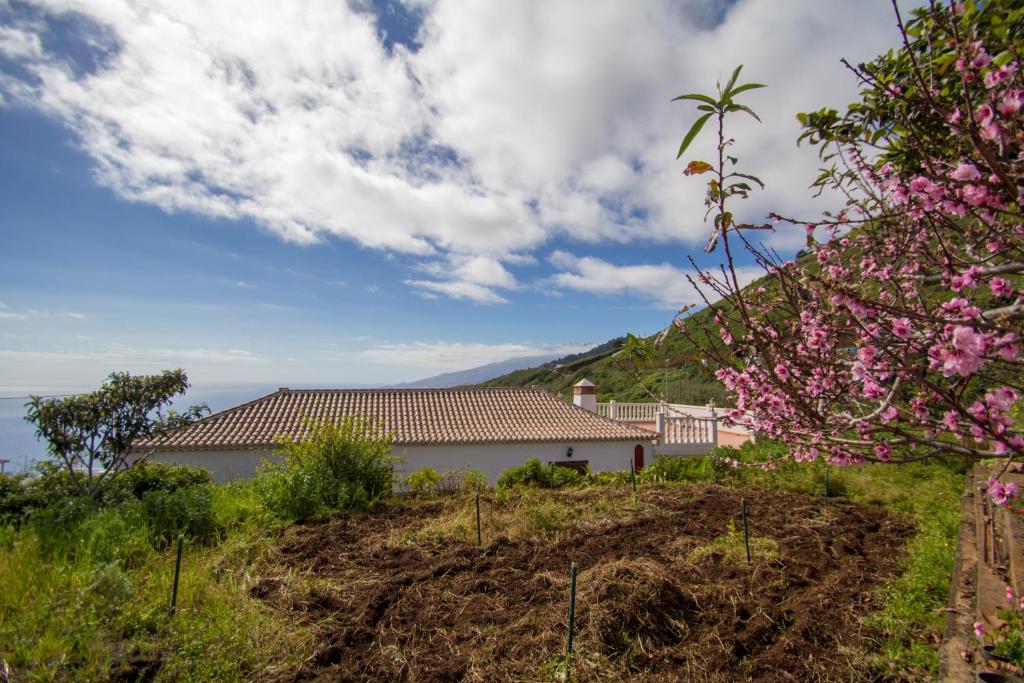 a house on a hill with pink flowers at Juanita in Puntallana