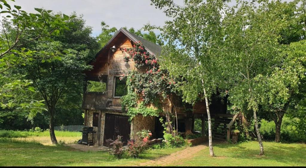 Ein altes Haus mit Efeu nebenbei in der Unterkunft Log cabin in Belgrad