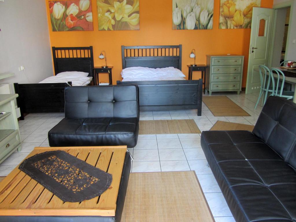 Willa w Ogrodzie - 15