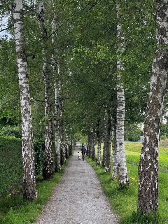 Příroda nedaleko apartmánu