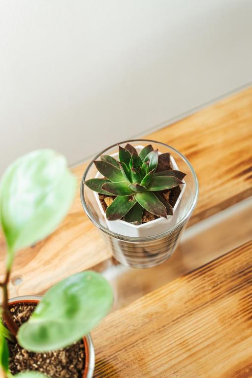 Casa Rosu - Resim 41